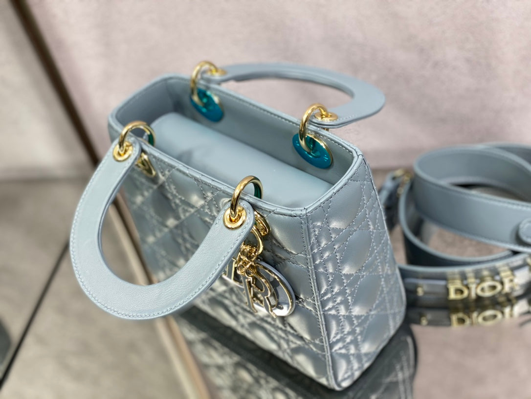 The Lady Dior Bag The ChouChou 20cm