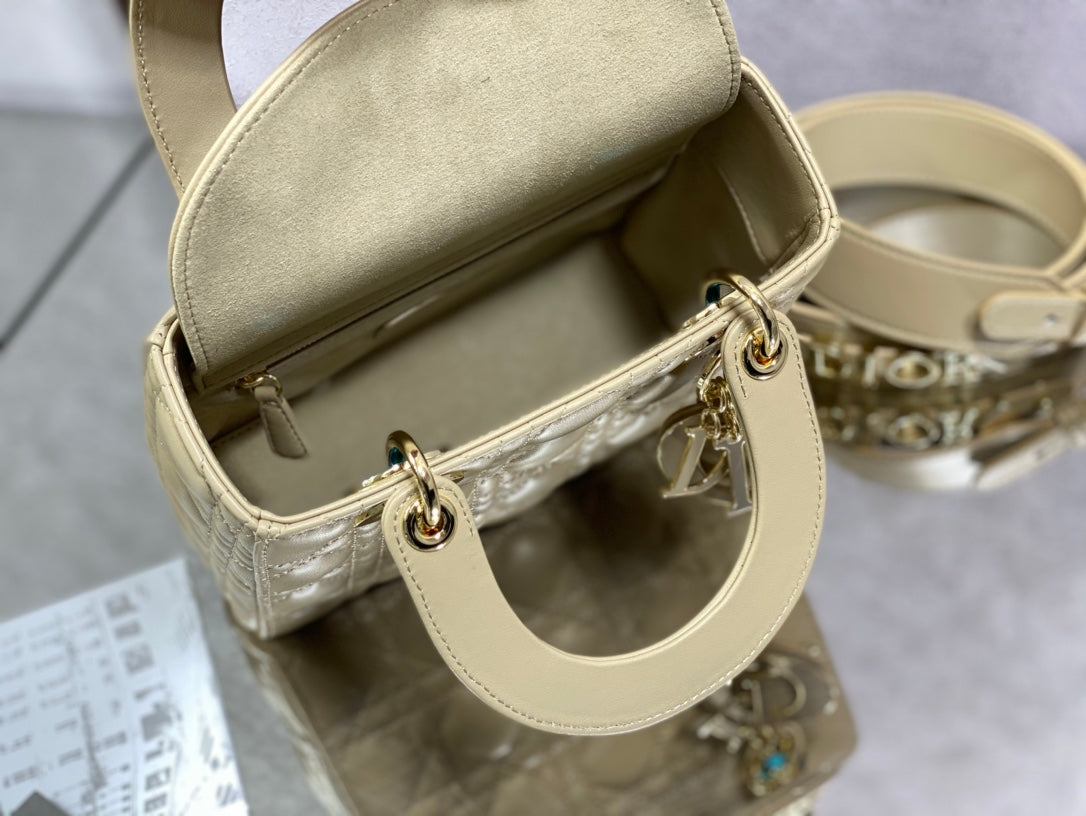 The Lady Dior Bag The ChouChou 20cm