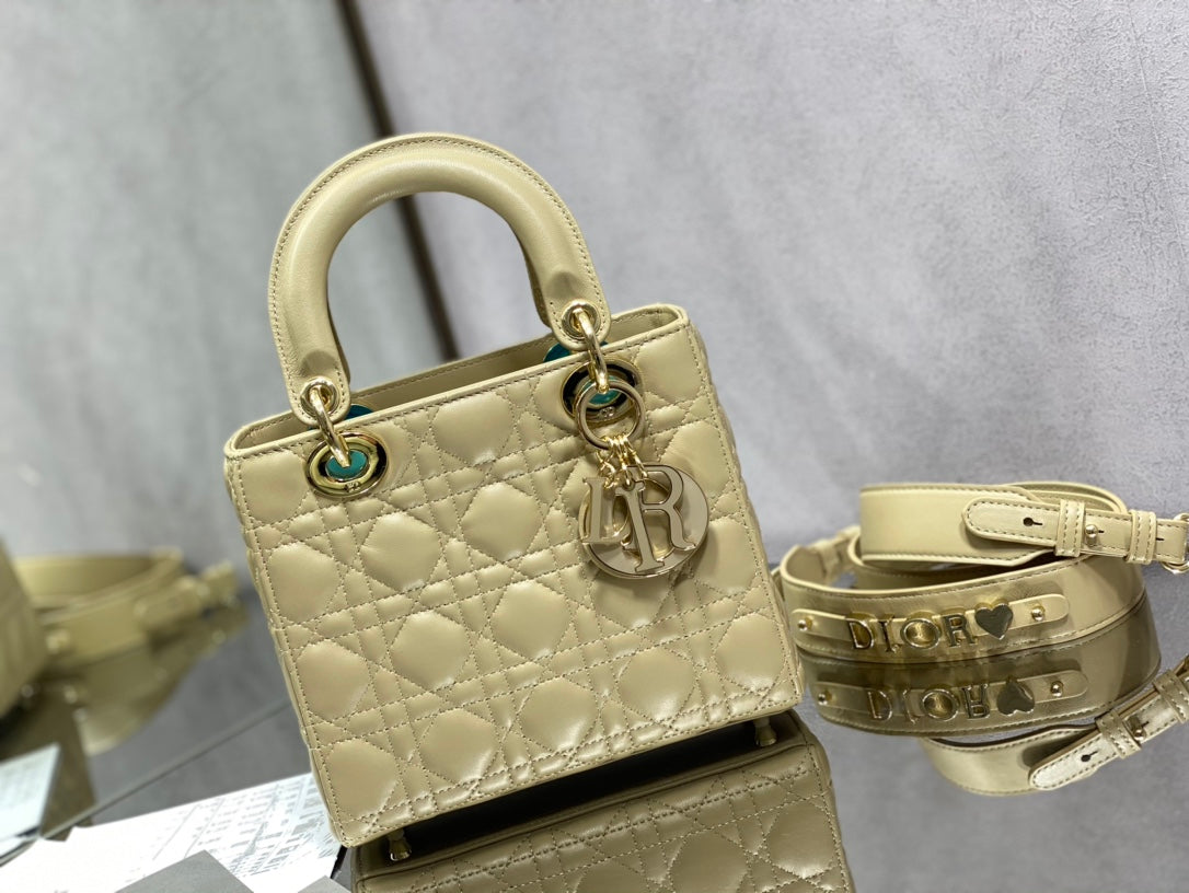 The Lady Dior Bag The ChouChou 20cm