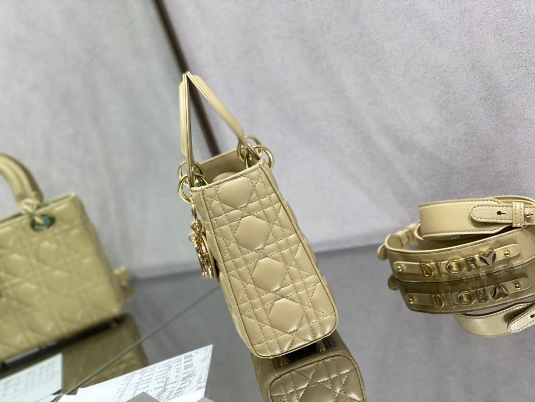 The Lady Dior Bag The ChouChou 20cm