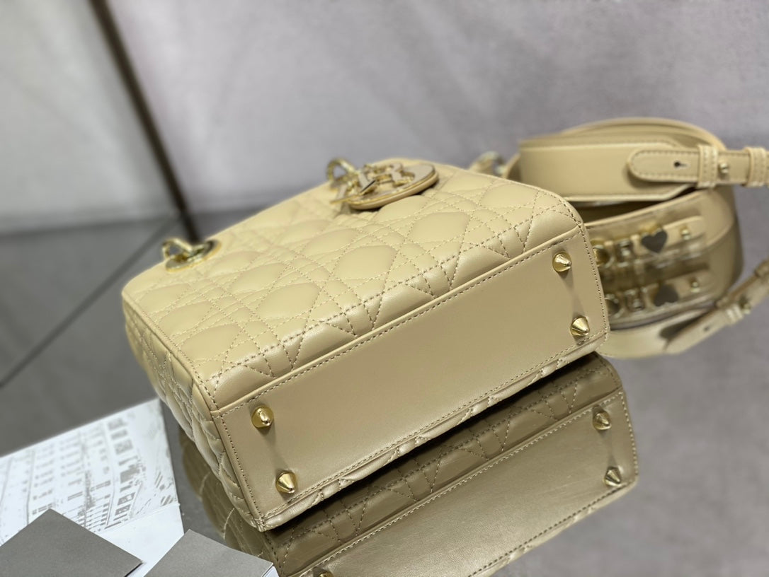 The Lady Dior Bag The ChouChou 20cm