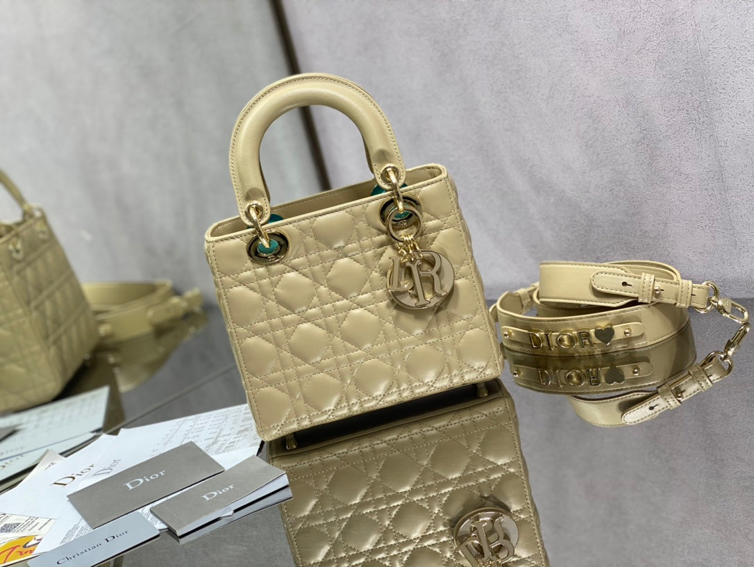 The Lady Dior Bag The ChouChou 20cm