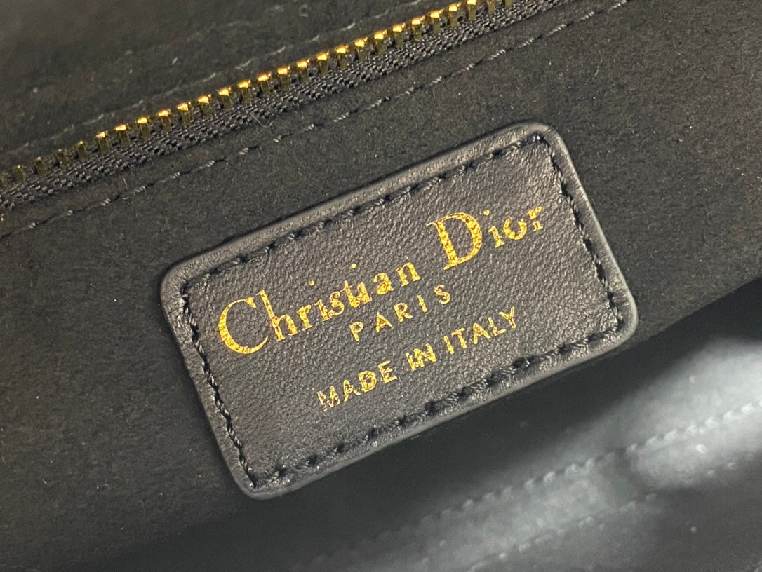 The Lady Dior Bag The ChouChou 20cm