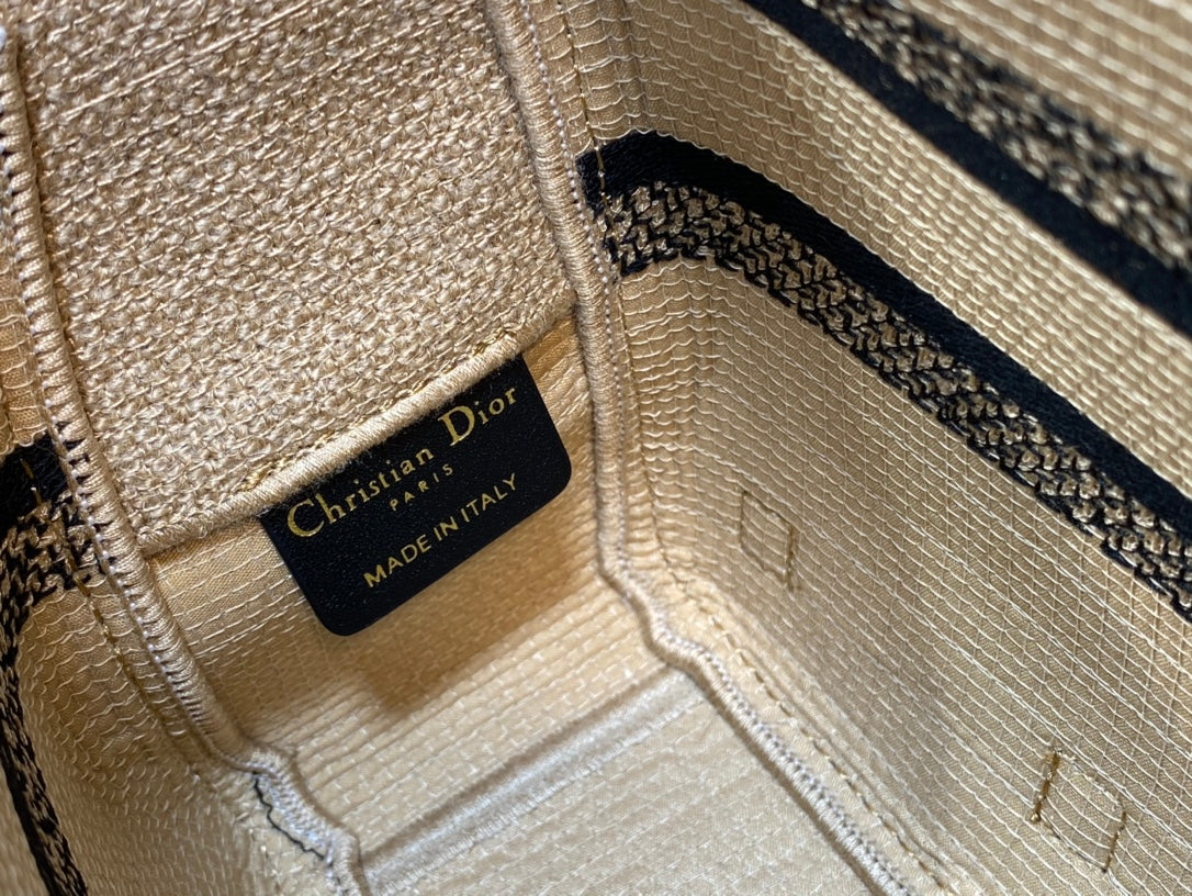 Dior Small Diorcamp Bag