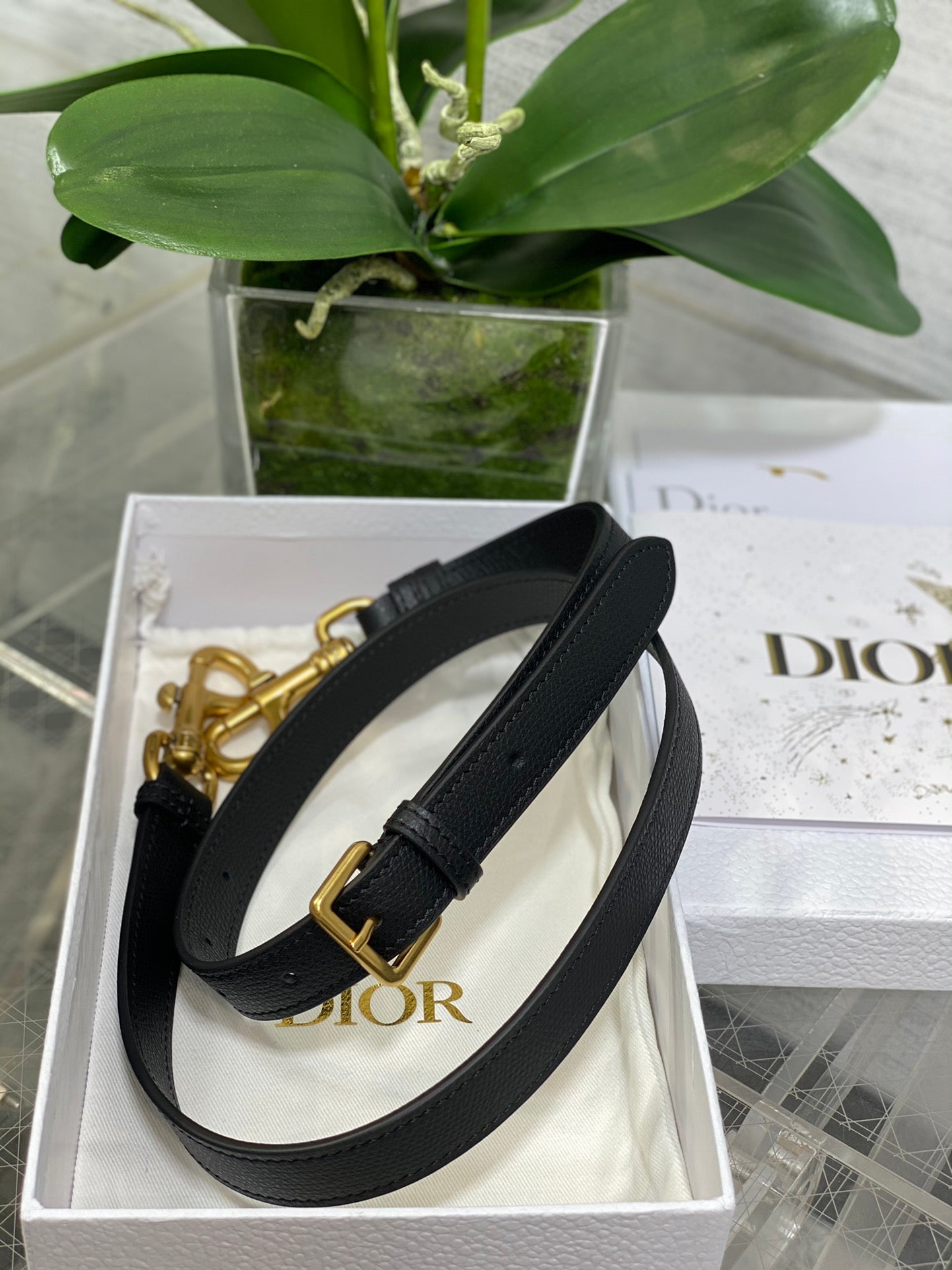 Dior Mini Saddle Bag