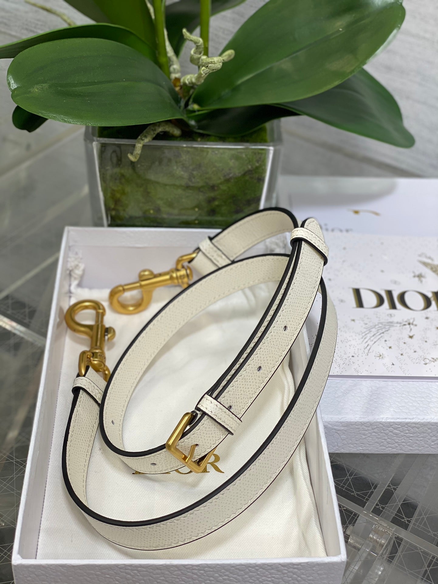 Dior Mini Saddle Bag