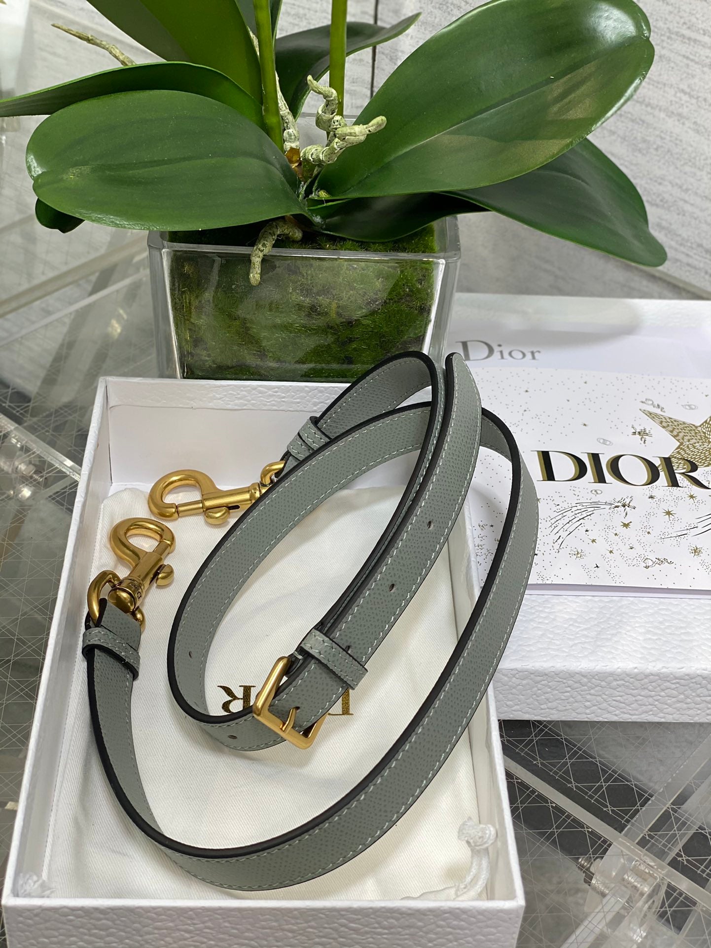 Dior Mini Saddle Bag