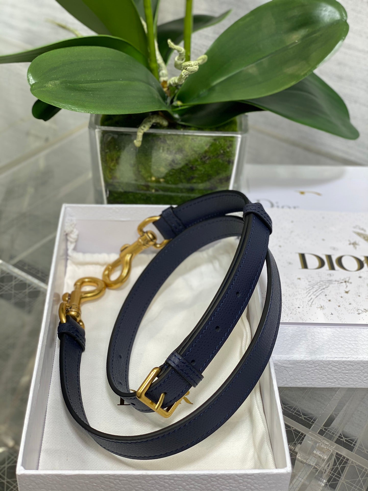 Dior Mini Saddle Bag