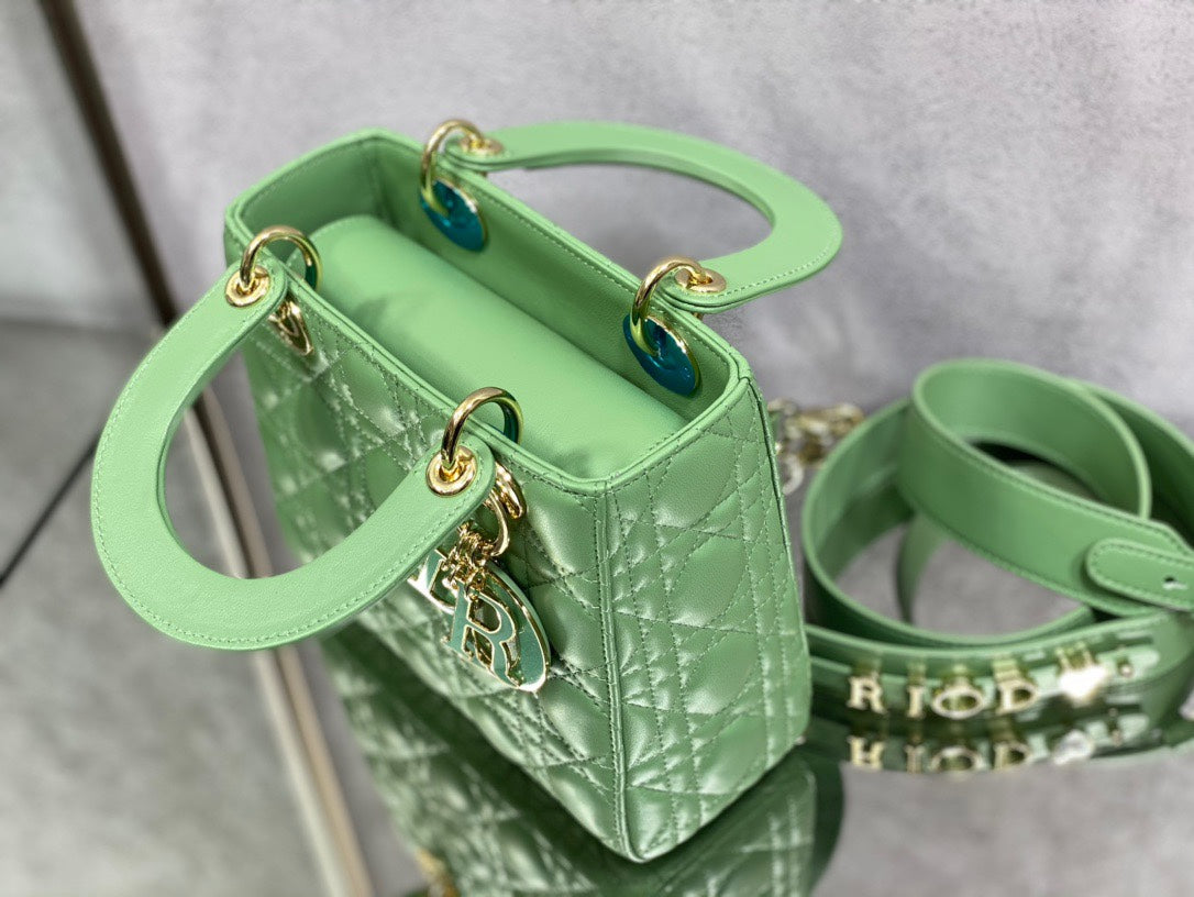 The Lady Dior Bag The ChouChou 20cm