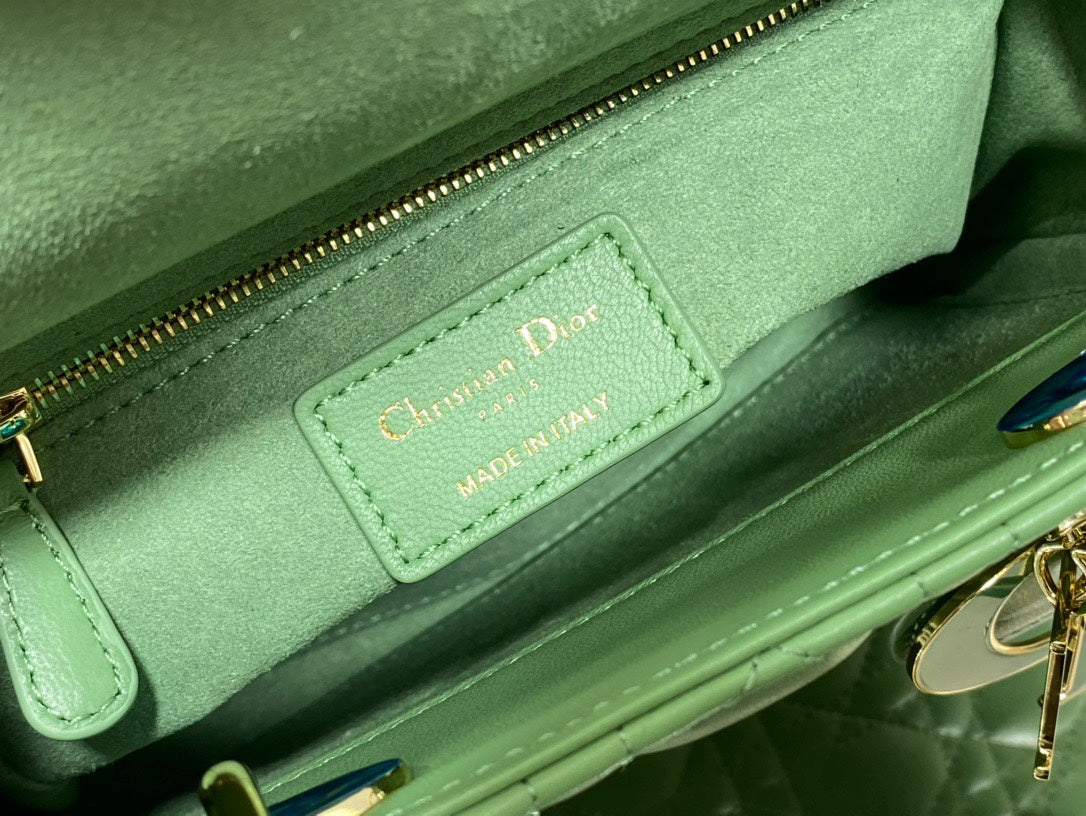 The Lady Dior Bag The ChouChou 20cm
