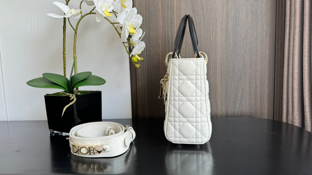 The Lady Dior Bag The ChouChou 20cm
