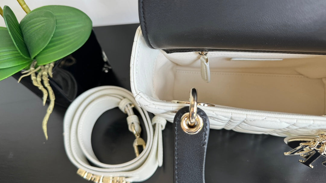 The Lady Dior Bag The ChouChou 20cm