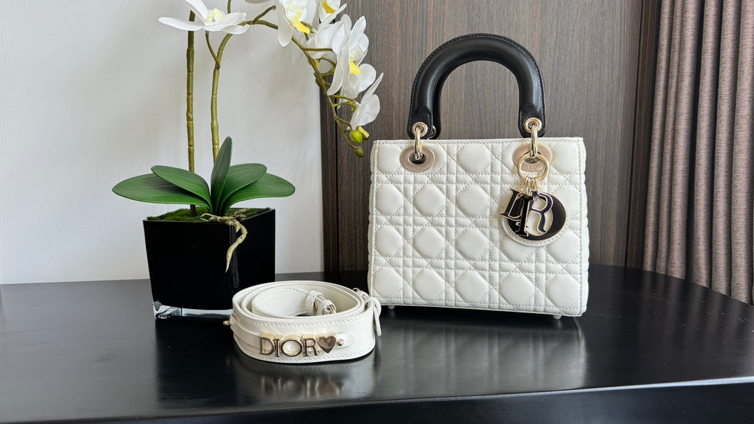 The Lady Dior Bag The ChouChou 20cm