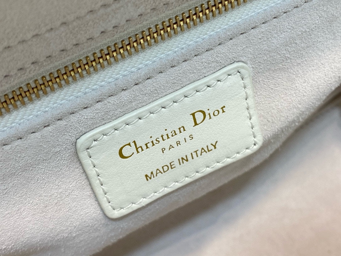 The Lady Dior Bag The ChouChou 20cm