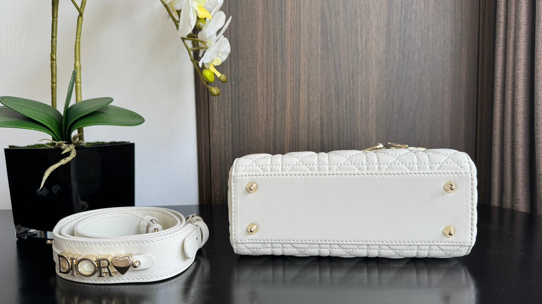 The Lady Dior Bag The ChouChou 20cm