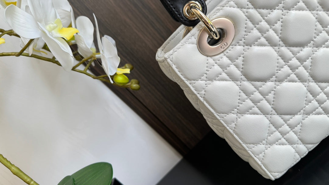 The Lady Dior Bag The ChouChou 20cm