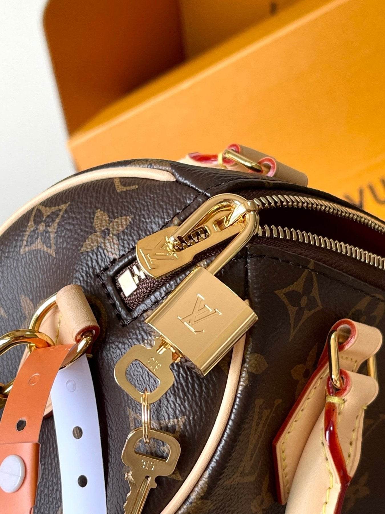 Louis Vuitton Speedy Bandoulière - My Store