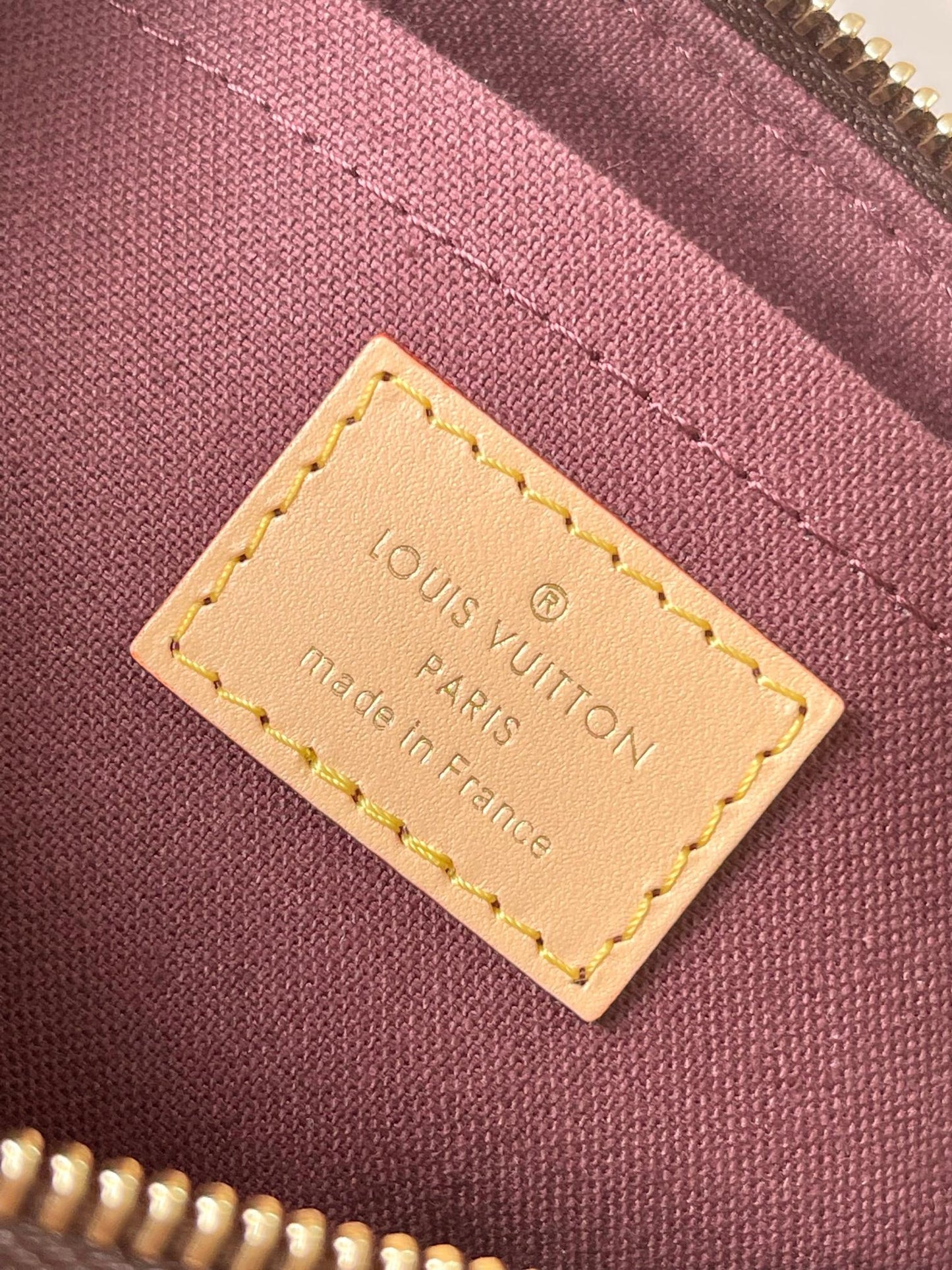 Lv Louis Vuitton Vivacité Monogram Canvas