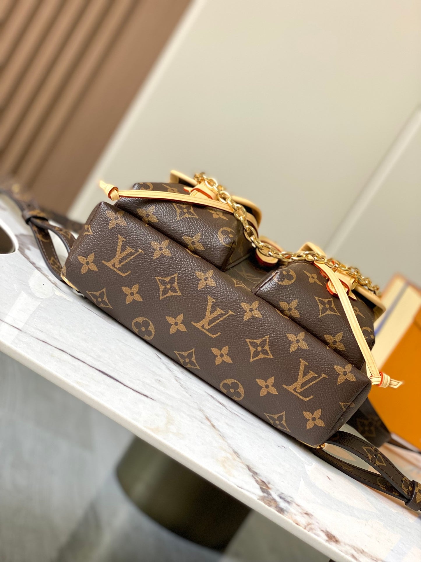 Lv Louis Vuitton Excursion PM in Monogram Canvas