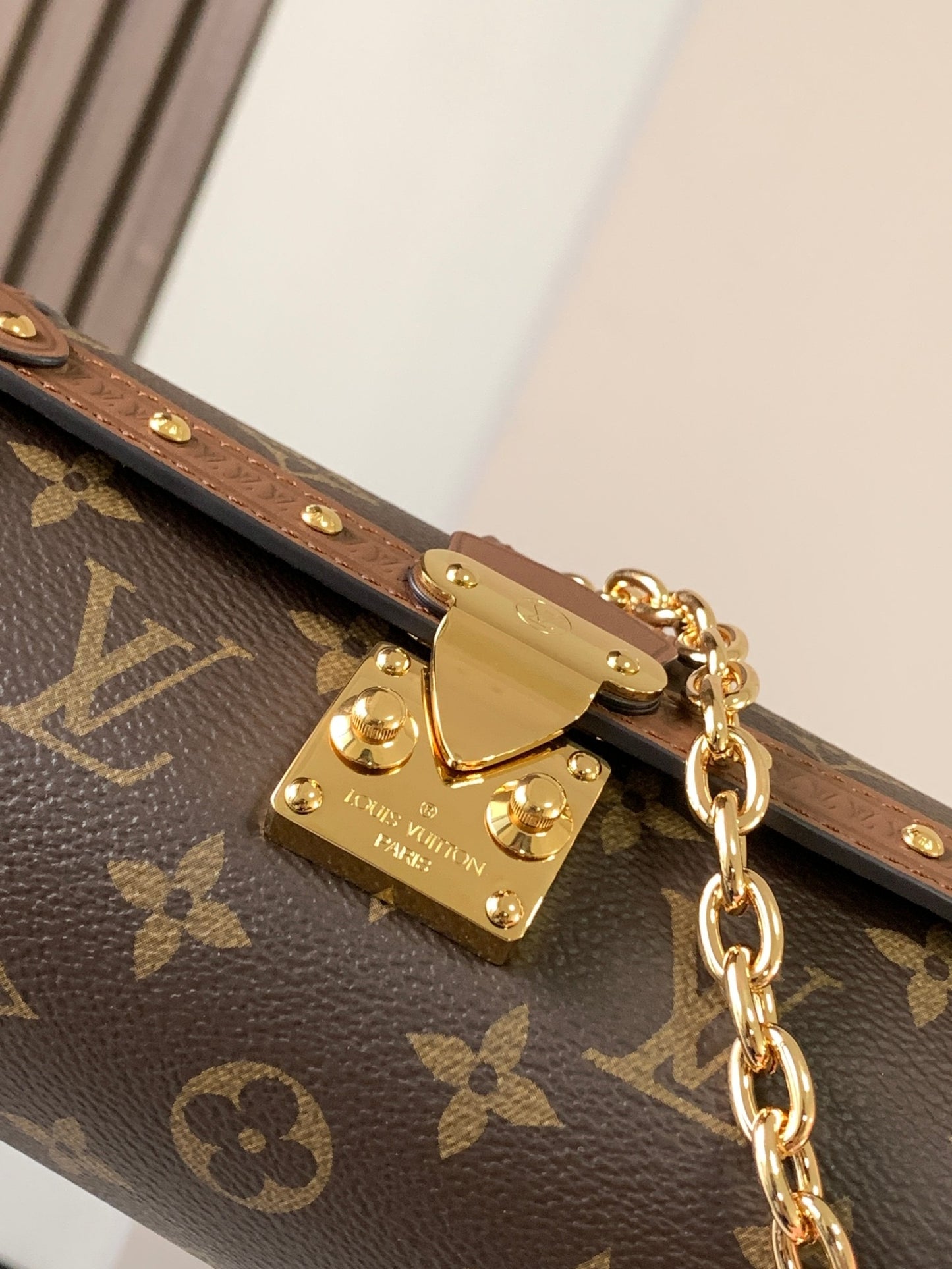 Lv Louis Vuitton Papillon Trunk in Monogram Canvas