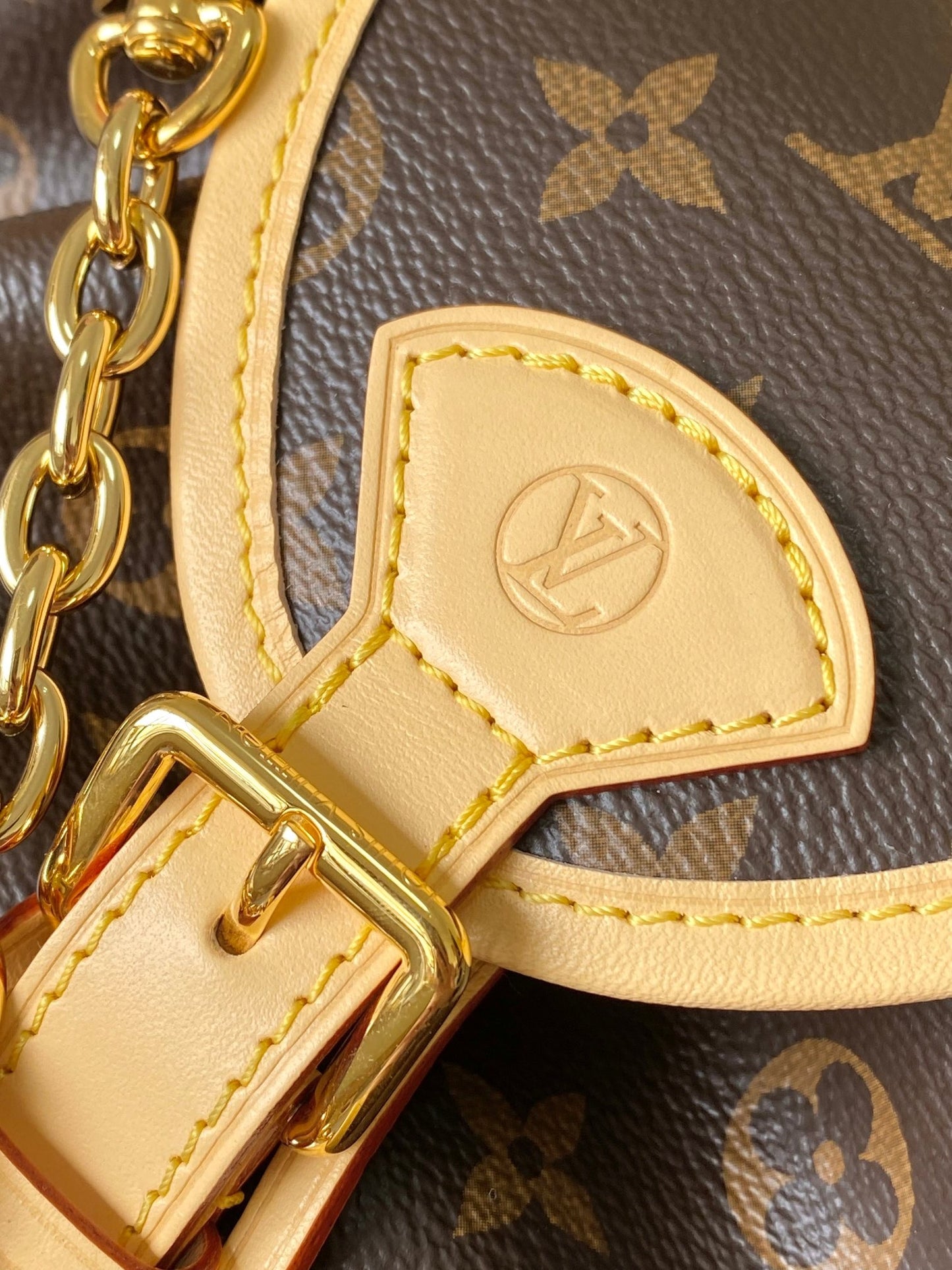 Lv Louis Vuitton Excursion PM in Monogram Canvas