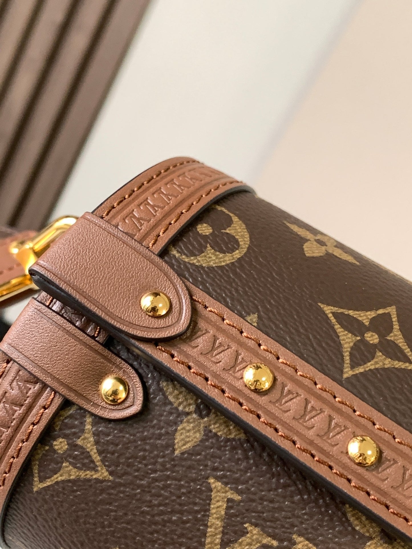 Lv Louis Vuitton Papillon Trunk in Monogram Canvas