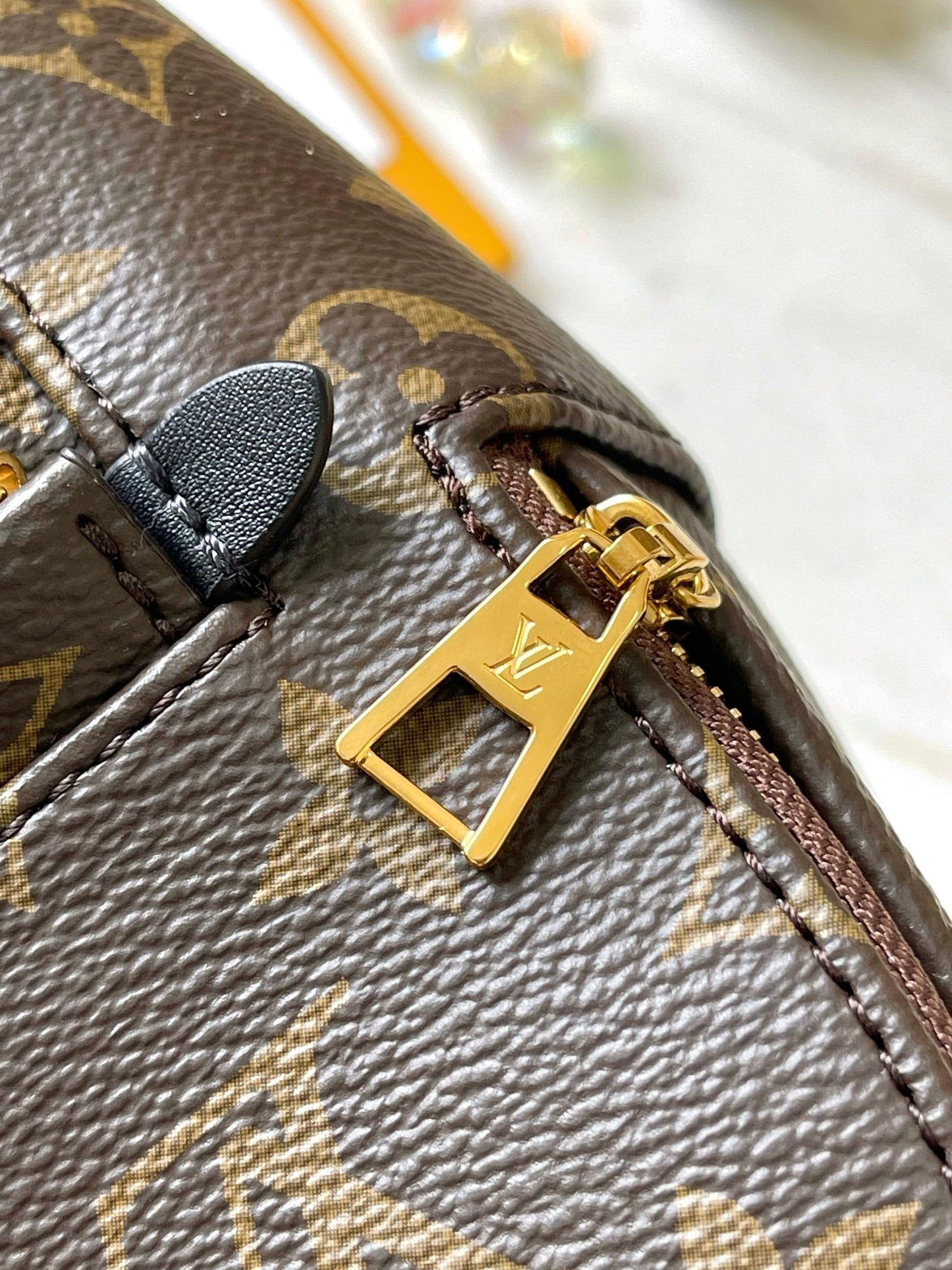 Lv Louis Vuitton Palm Springs Mini backpack in Monogram Canvas