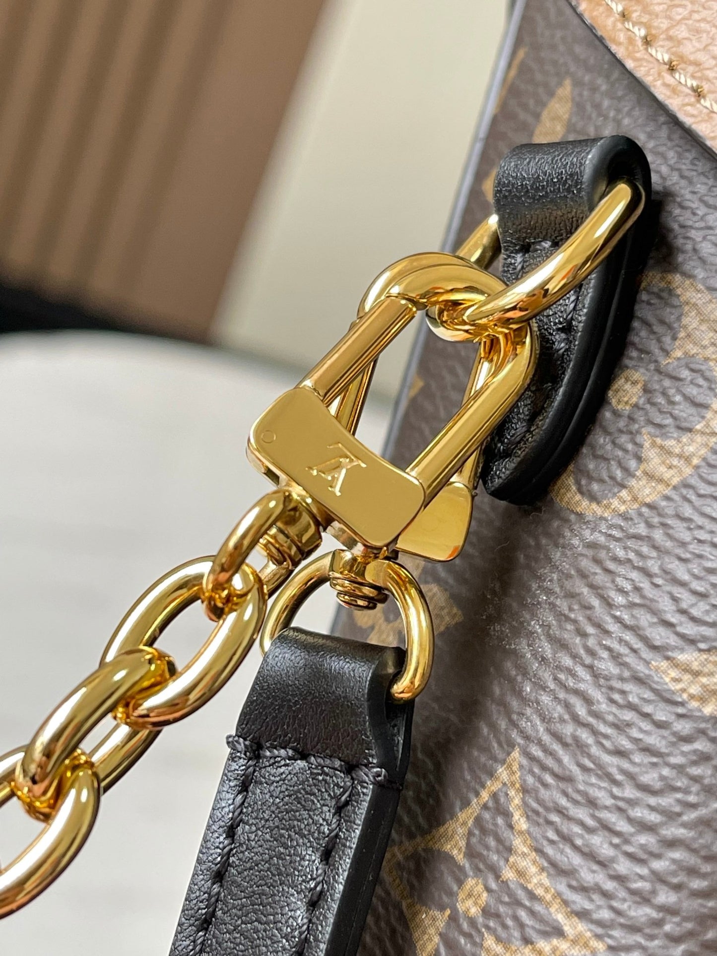 Lv Louis Vuitton Camera Box in Monogram Canvas