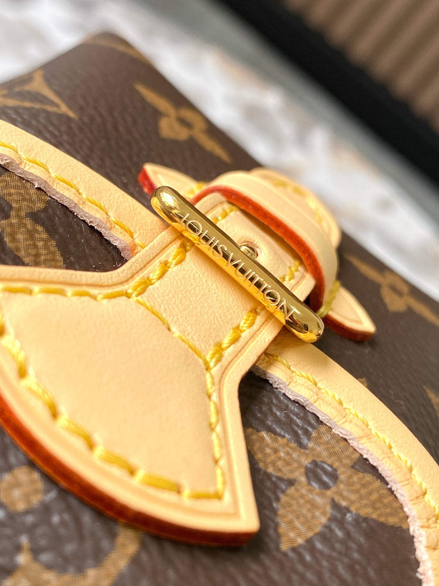 Lv Louis Vuitton Excursion PM in Monogram Canvas