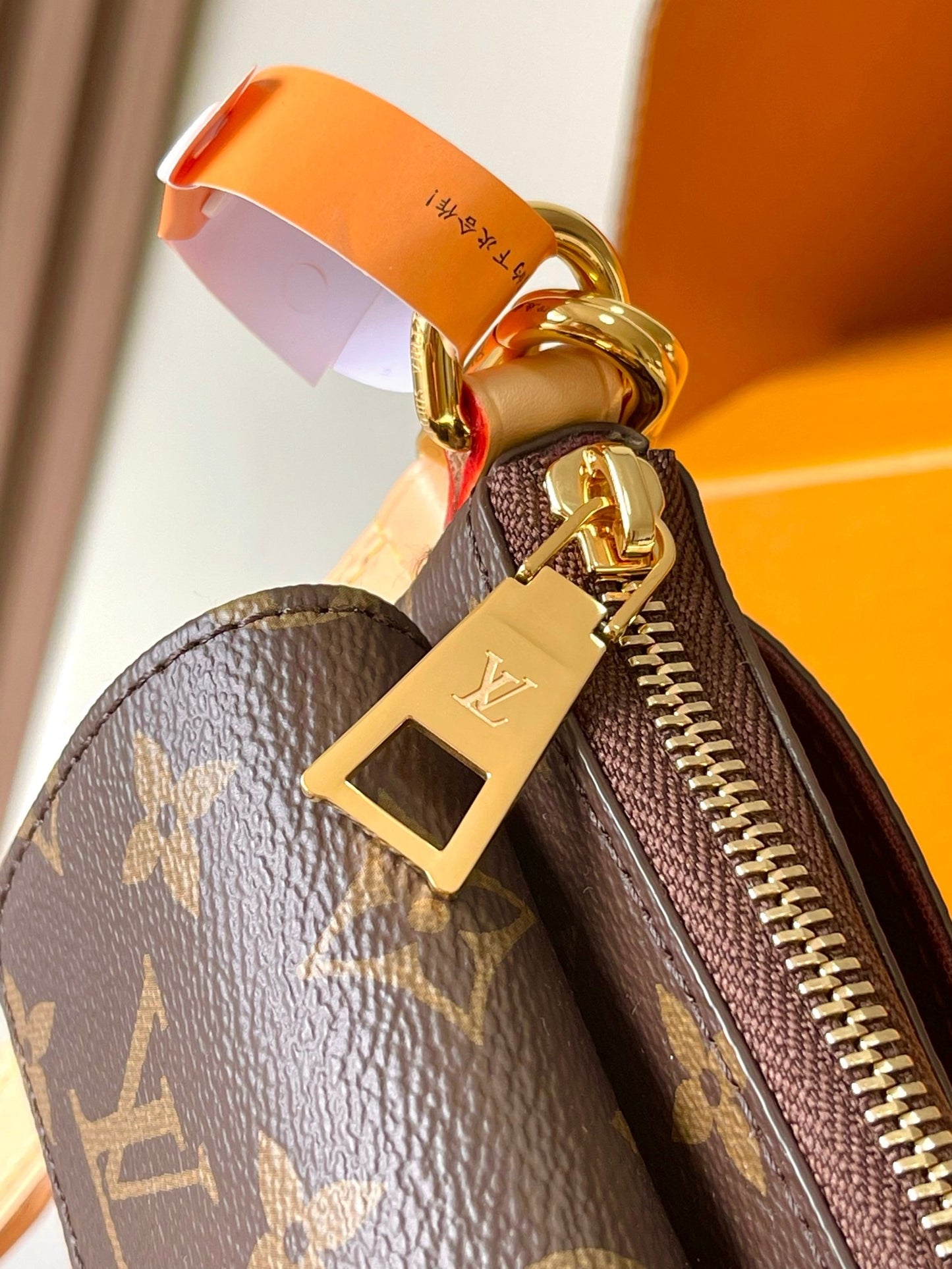 Lv Louis Vuitton Vivacité Monogram Canvas