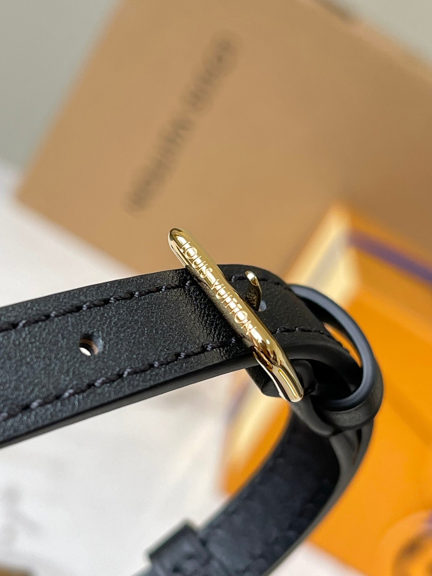 Lv Louis Vuitton Camera Box in Monogram Canvas