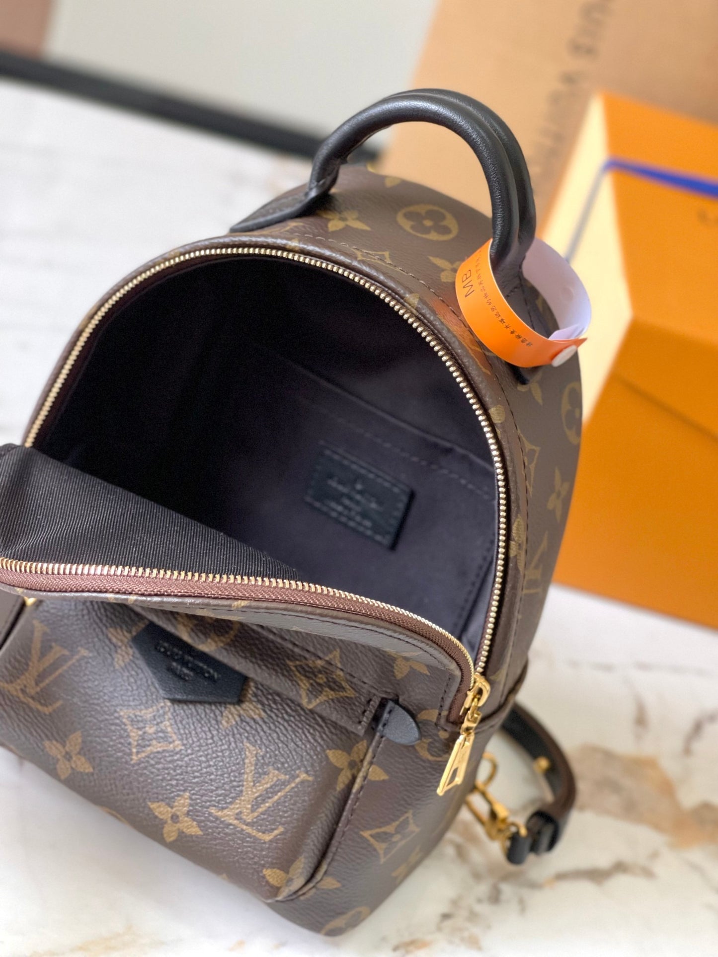 Lv Louis Vuitton Palm Springs Mini backpack in Monogram Canvas