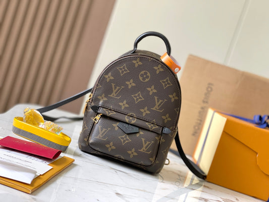 Lv Louis Vuitton Palm Springs Mini backpack in Monogram Canvas